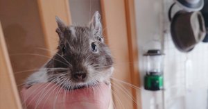 rectangle_large_type_2_4562b9a