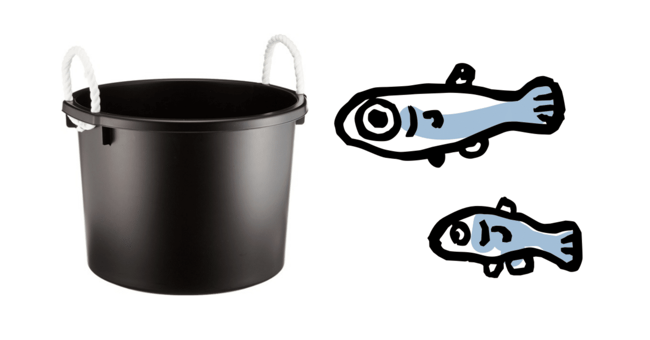 メダカLog③ 我が家のベランダビオトープ 環境構築編｜竹野たけのこ