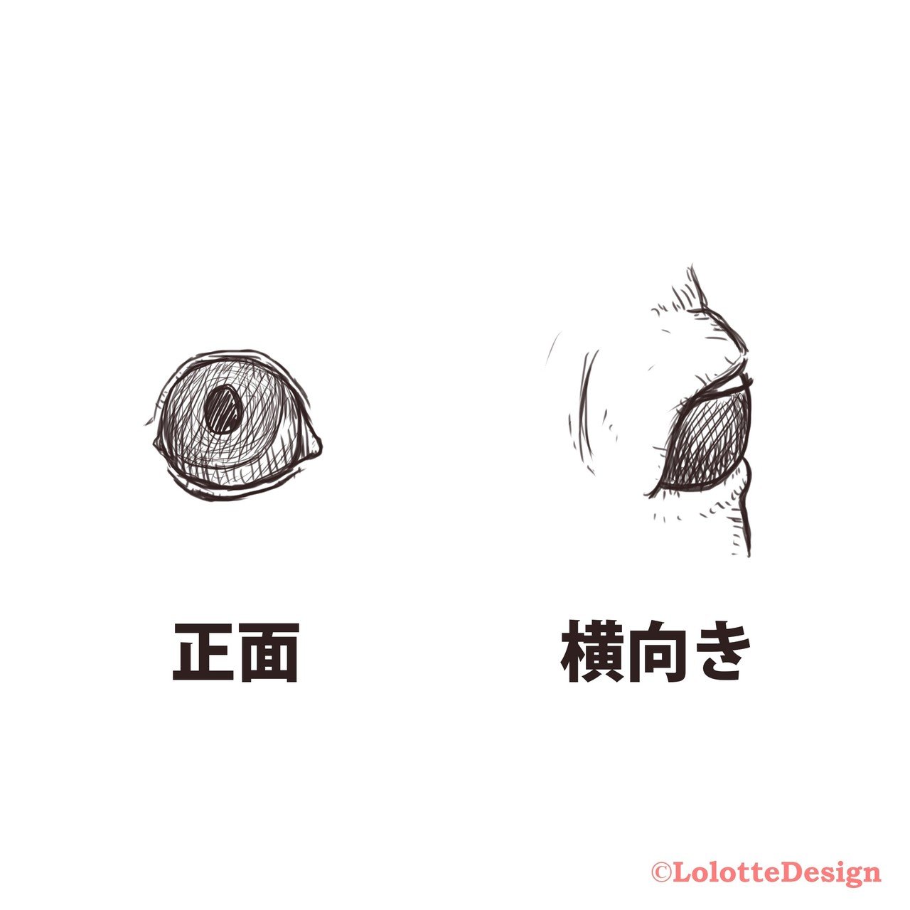 動物の 目 描けますか Note0049 Ryo Nft Illustrator Note