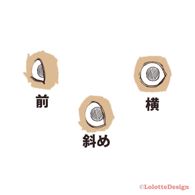動物の 目 描けますか Note0049 アニマルイラストレーターryo Note 動物の 目 描けますか Note0049 アニマルイラストレーターryo Note