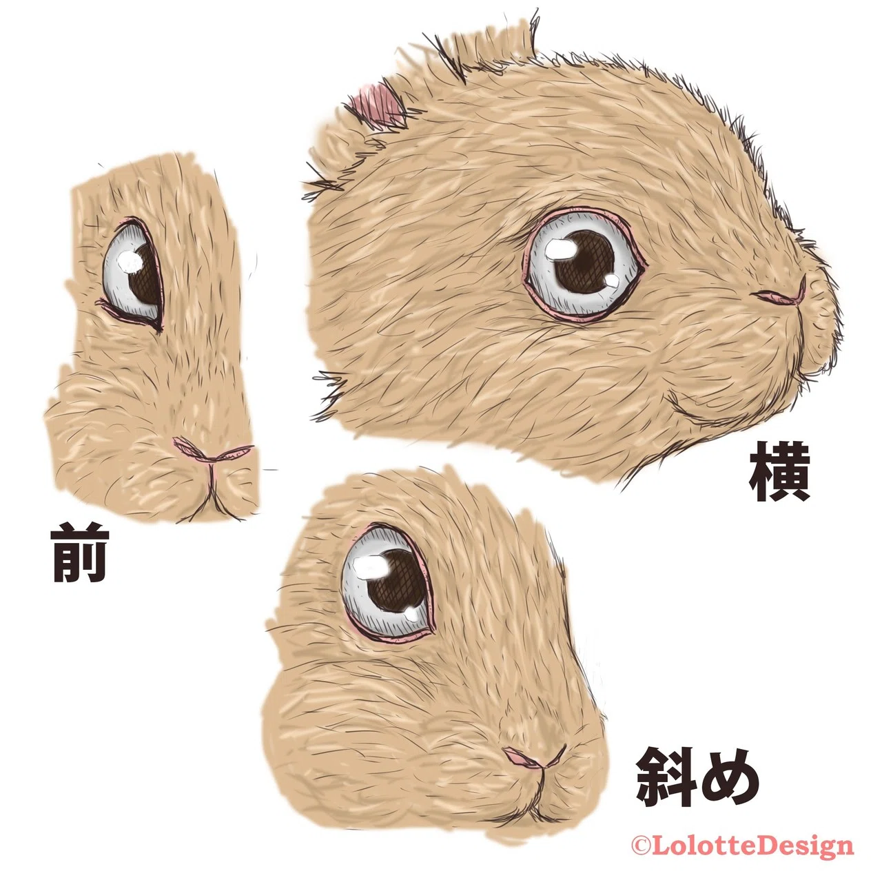 動物の 目 描けますか Note0049 Ryo Nft Illustrator Note