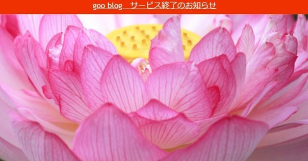 プロフィール｜大藏達雄
