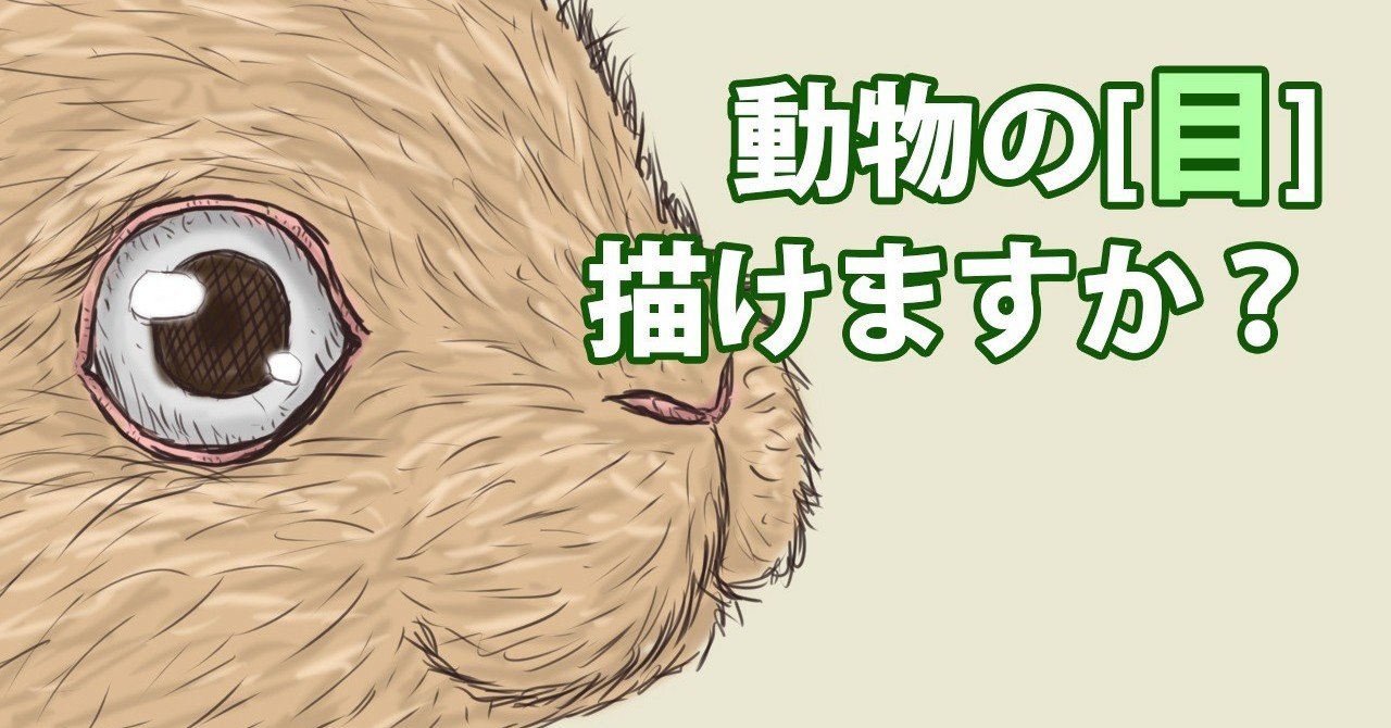 動物の 目 描けますか Note0049 アニマルイラストレーターryo Note 動物の 目 描けますか Note0049 アニマルイラストレーターryo Note