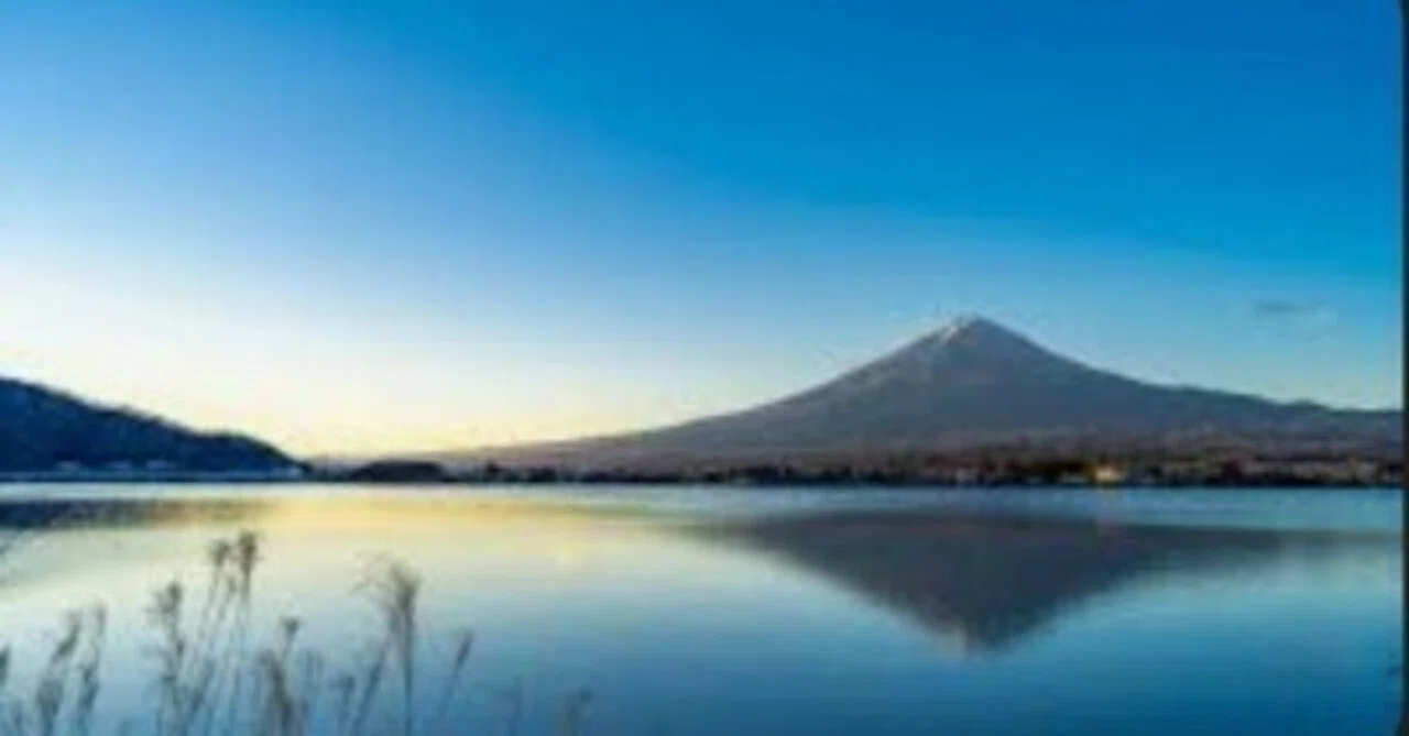 後退りした甘えの構造責任回避という病：日本社会を蝕む根源と、その処方箋｜Igarashi Jane