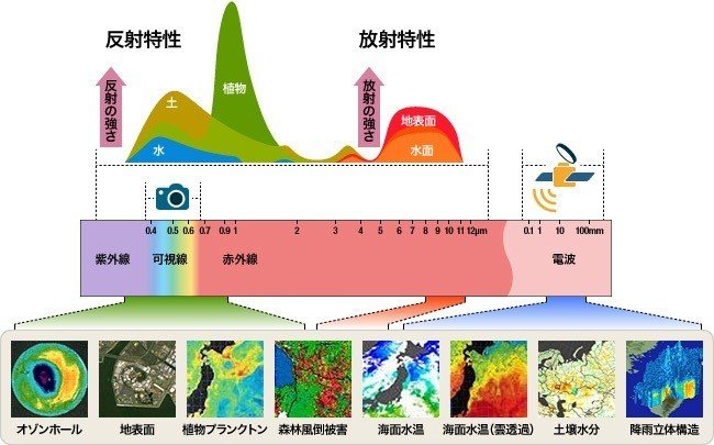 研究により、南極の植生は総面積44.2km²を占めていることが明らかになりました