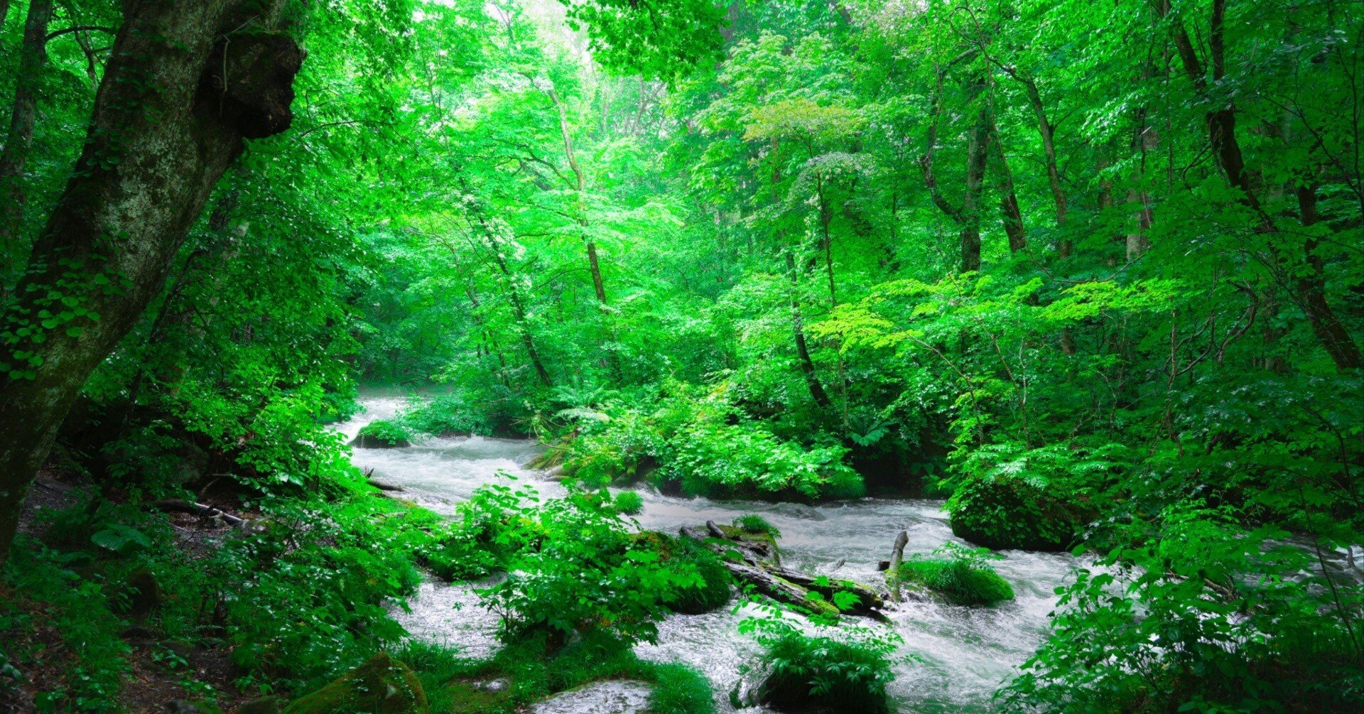 癒しをくれた景色へ、もう一度 ーー2022年の記憶と、再びの旅｜hana