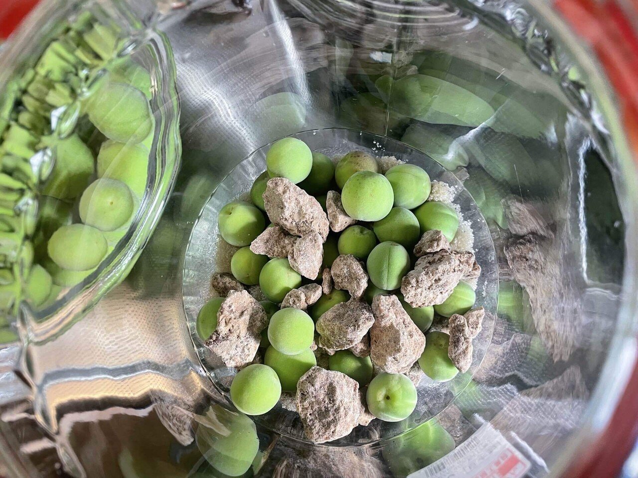 青梅2kg トウガラシ 青梅（和歌山県産）南高梅の青梅2kg<br>朝採り新鮮【2019年ご