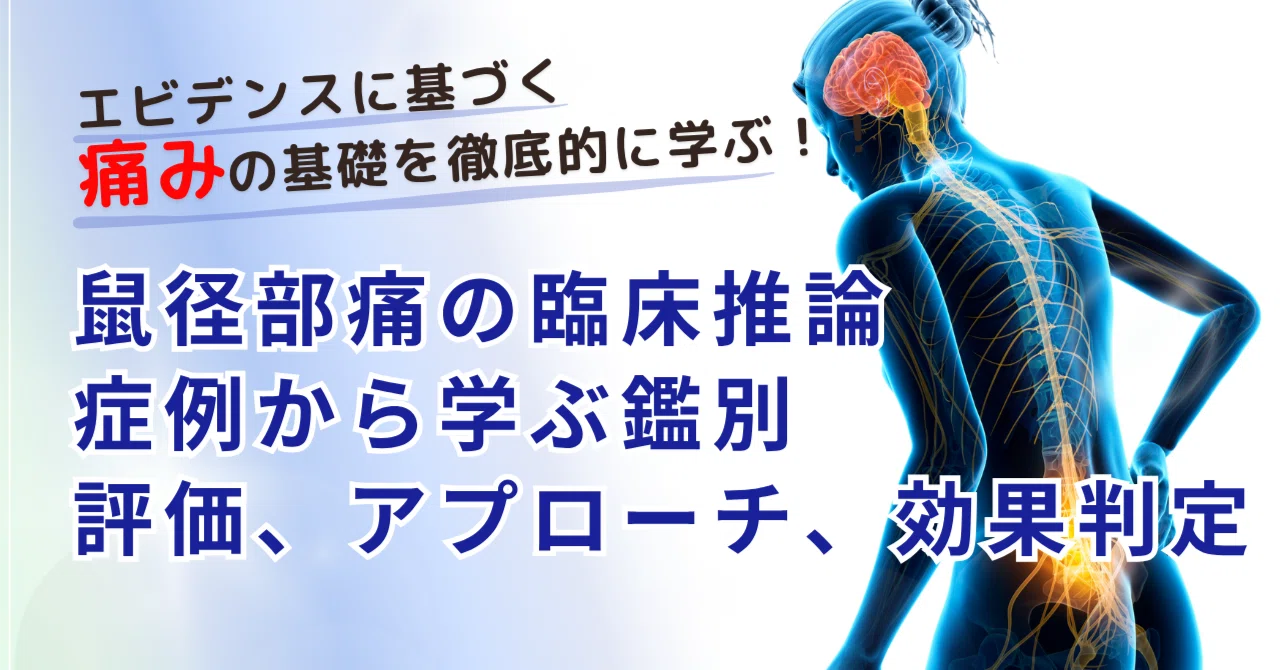 理学療法士・作業療法士向け】鼠径部痛の臨床推論：症例から学ぶ鑑別