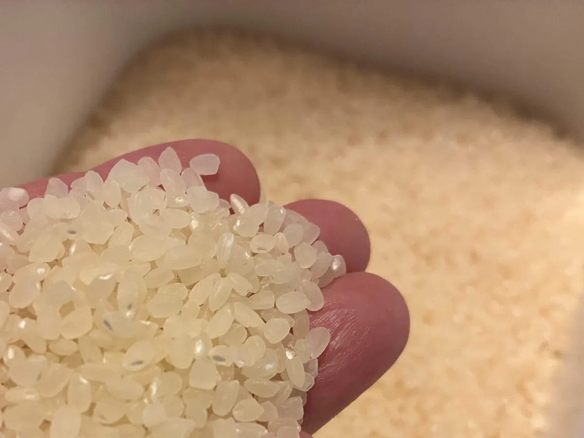 古古古米🌾のお味は…｜sora