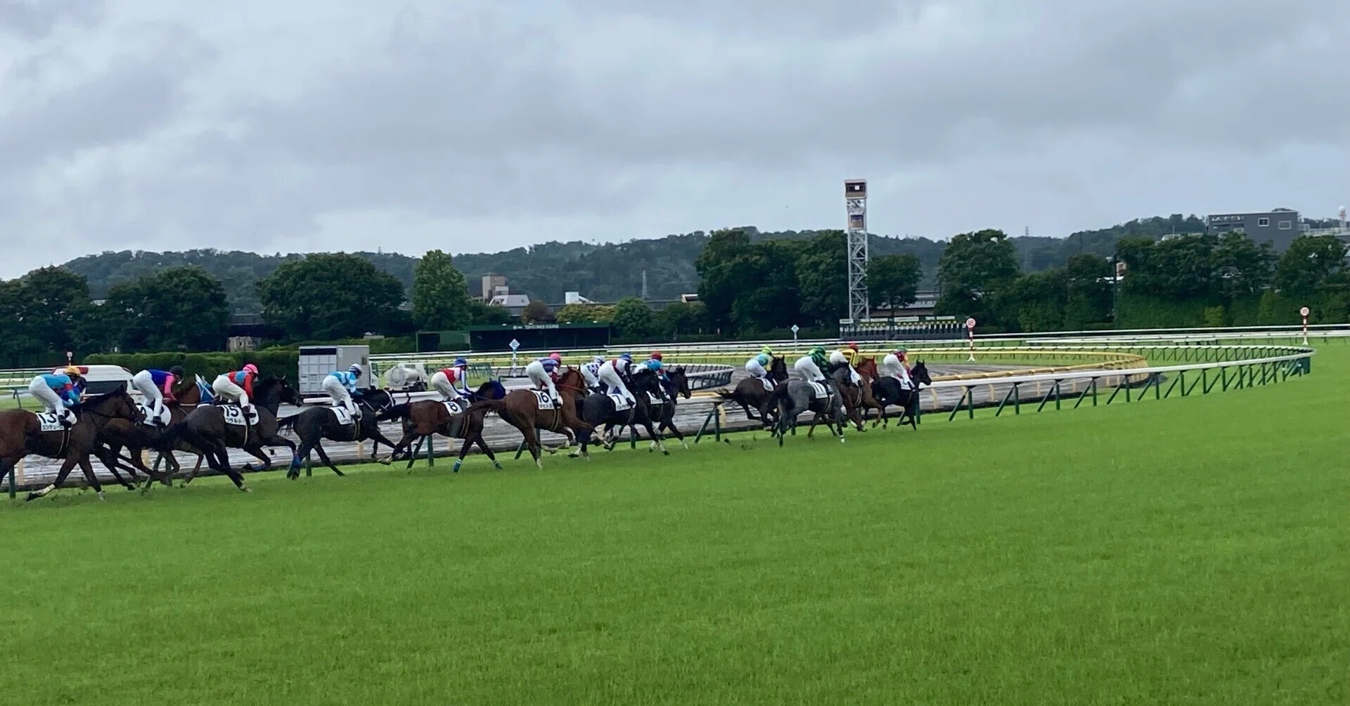 23【UMAJO】ダービー前日に東京競馬場に行った話｜旅するにゃんこの足跡