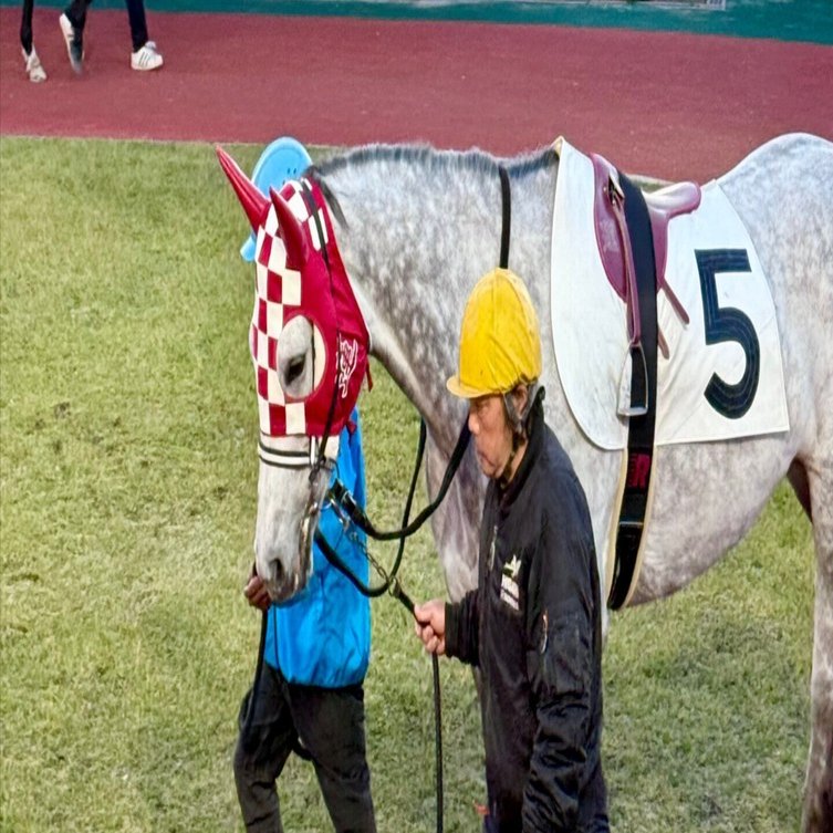 リナチャンのサラブレッド血統を探る その神秘的な世界！｜Rユニコーン