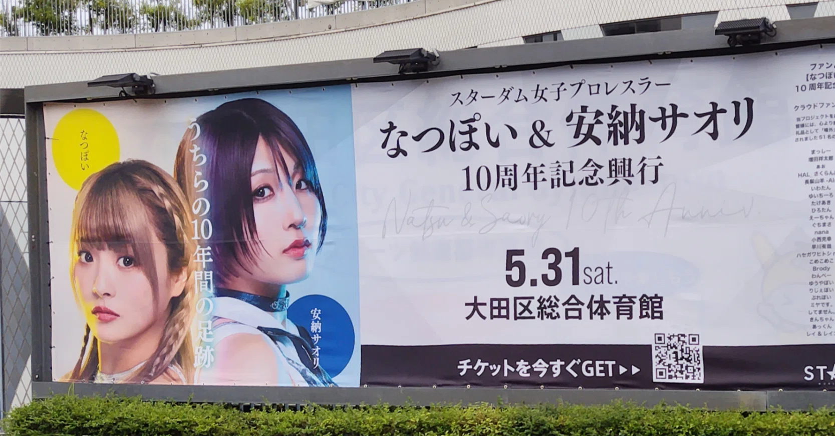 これまでのことと、これからのこと／【プロレス】『なつ&さおりー 来