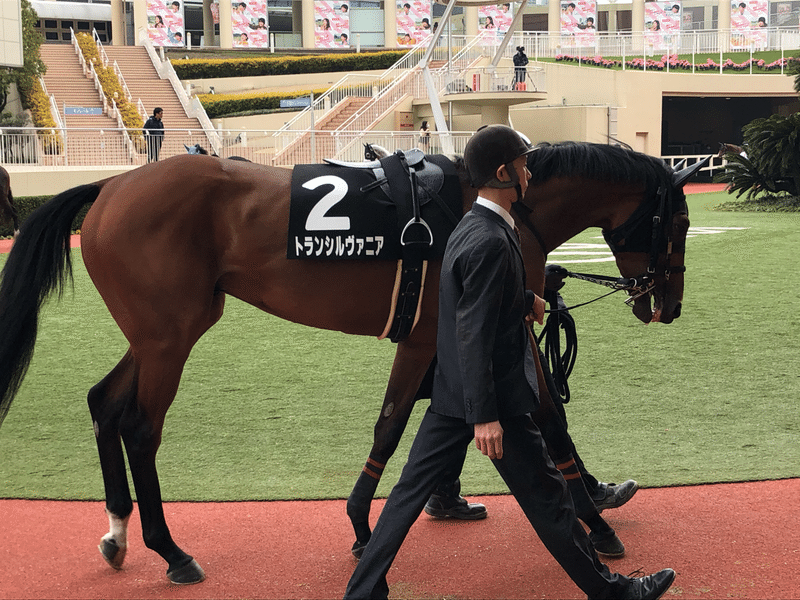 小倉競馬場 現地観戦記 あすなろ賞 3歳1勝クラス 小倉00 芝 いりりん Note