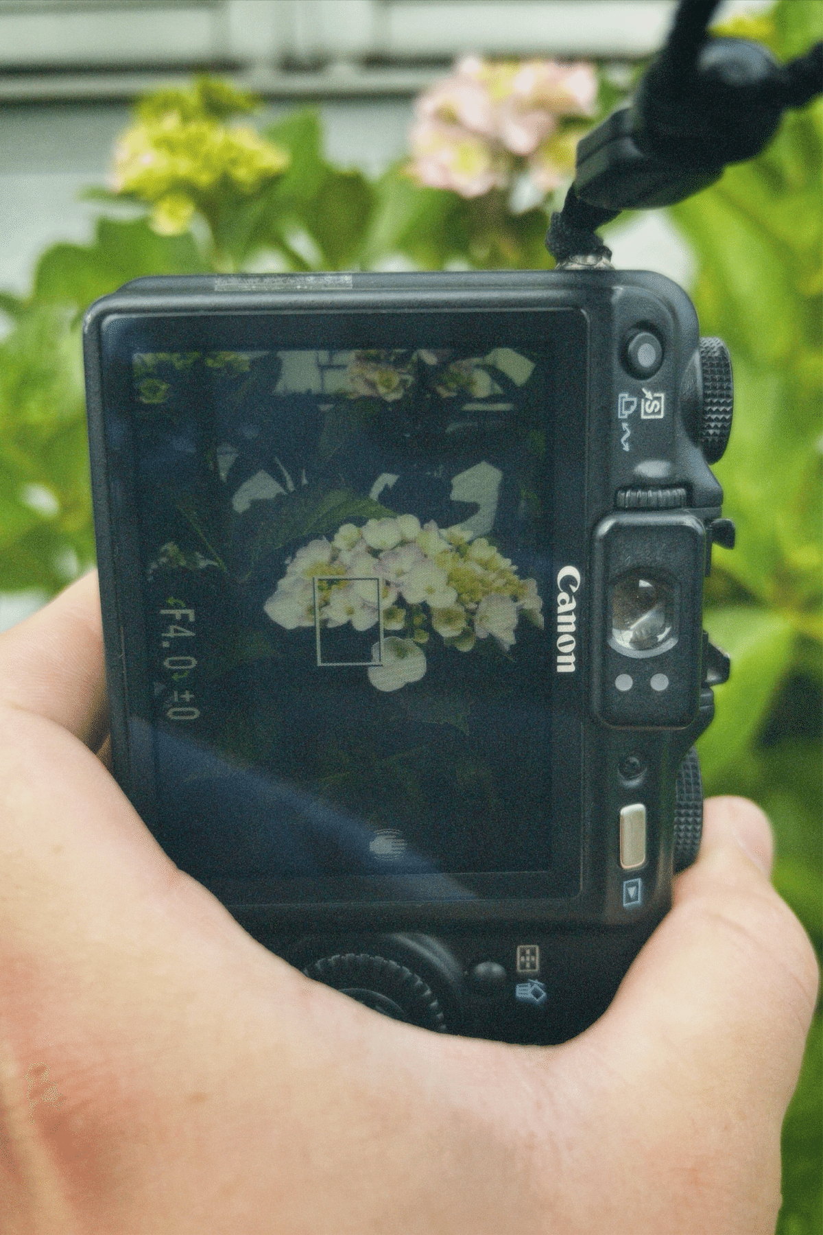 タコ安カメラの逆襲。PowerShot G9はすごいよかった（作例あり）｜けいふ