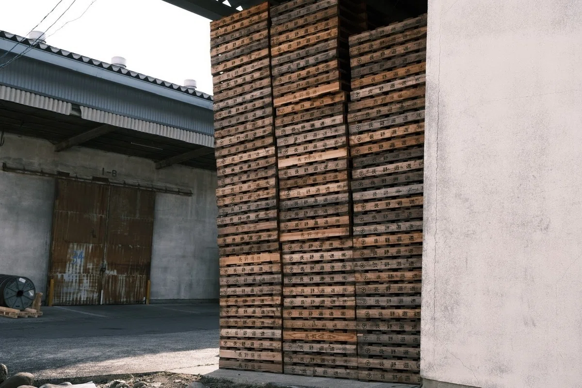 画像7