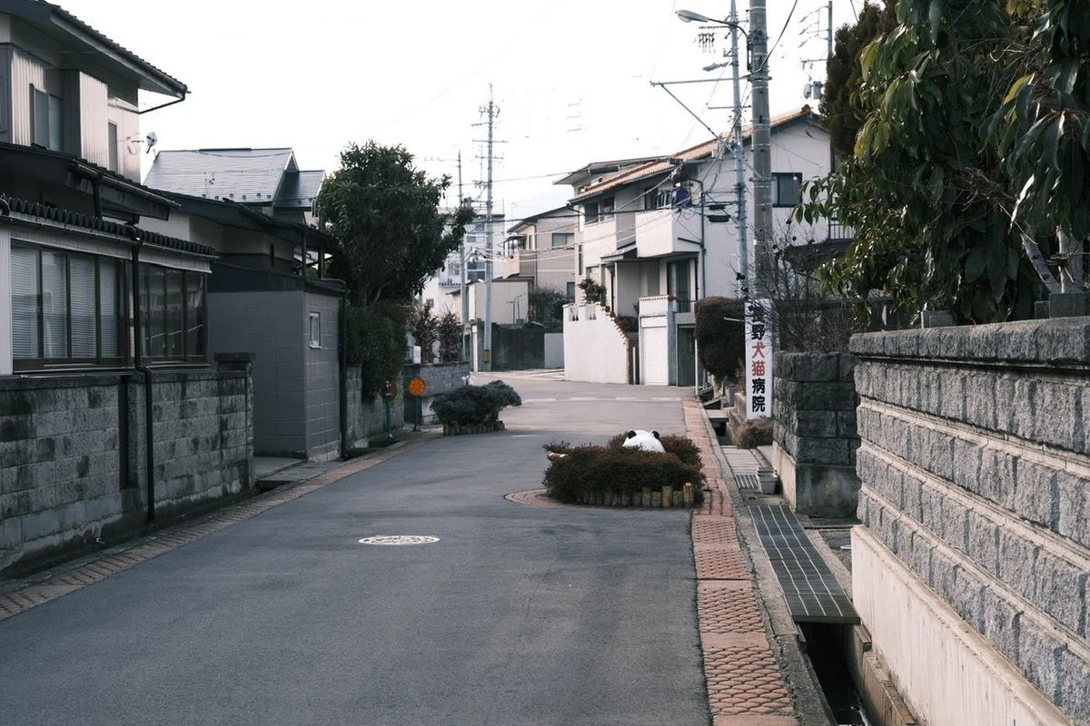画像18