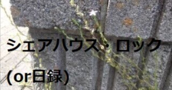 ウィリアム・ギャディス JR JR | ウィリアム・ギャディス, 木原善彦 |本 | 通販 | Amazon