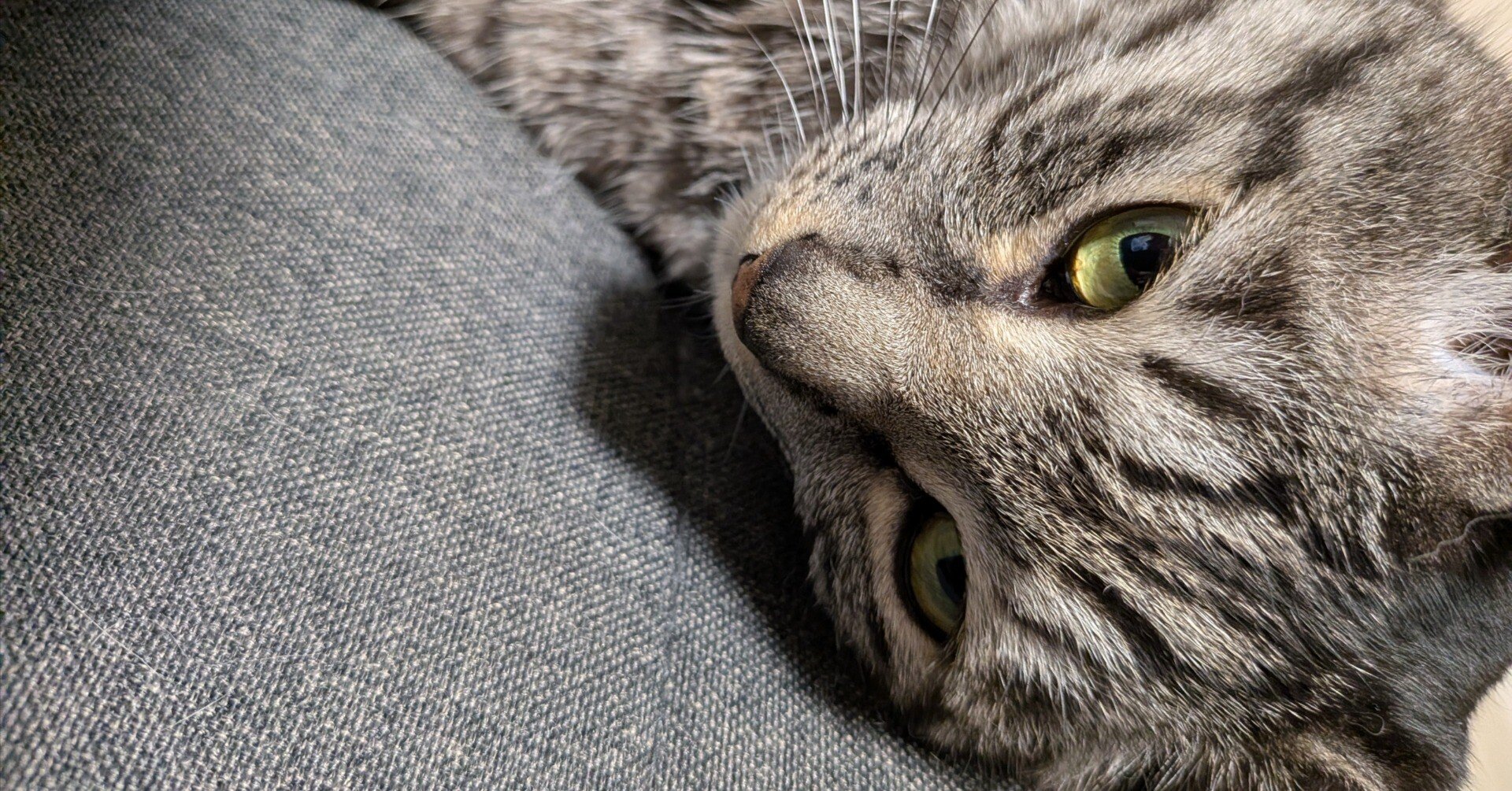 遊戯王OCG】真・隕石デッキ｜さんだー＠136