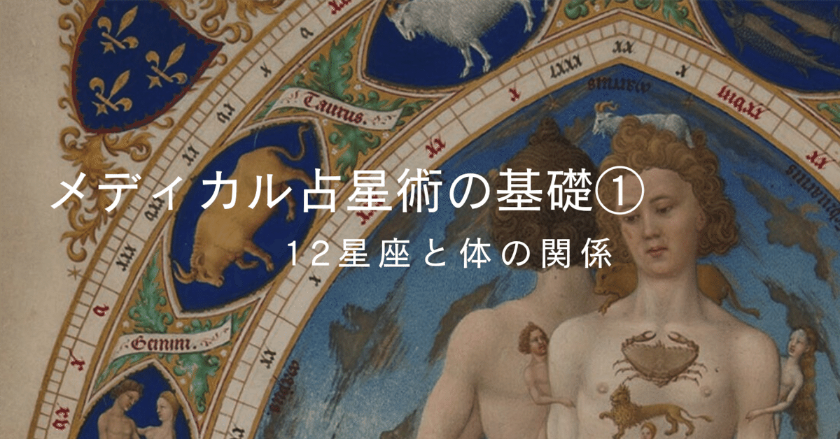 メディカル占星術の基礎①〜12星座と体の関係〜｜星読みハーバ