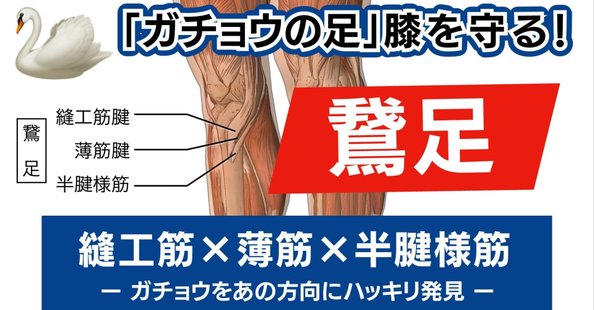 実験医学増刊 Vol.42 No.20 細胞老化―真の機能を深く理解する