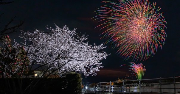 華麗 花火でつながる、人と町と未来。—神戸の一軒の花火店から広がる ホビー・楽器・アート