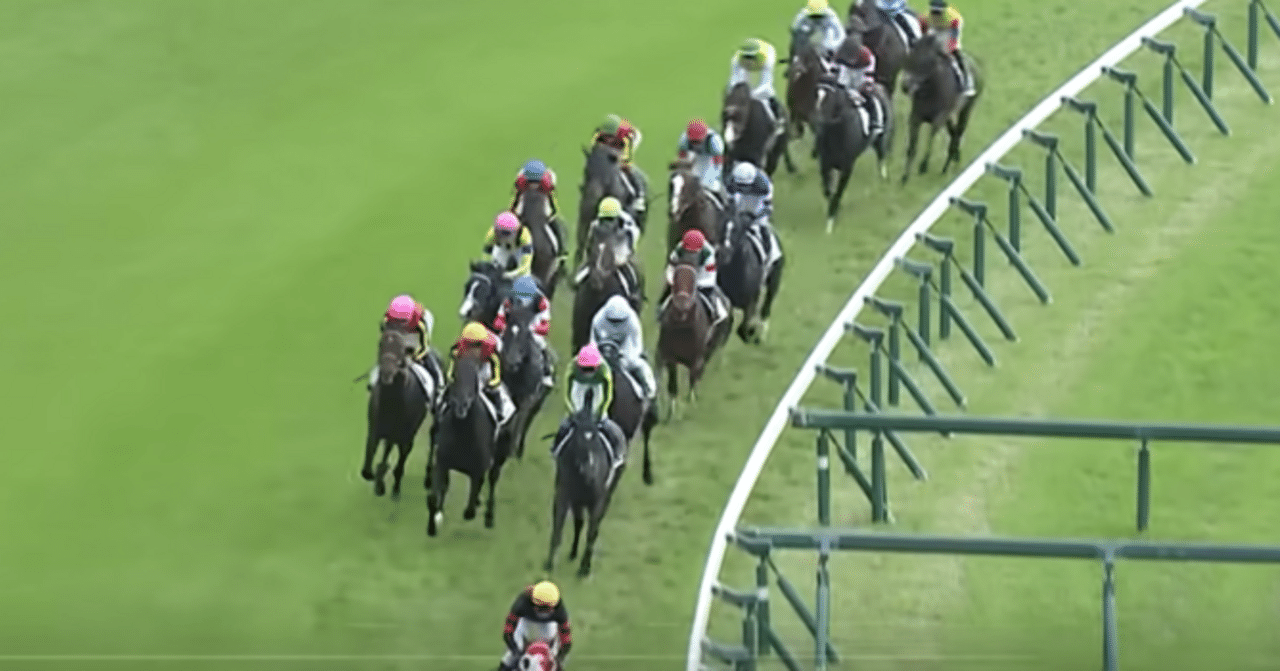 2022年　ドウデュース　日本ダービー（東京優駿）現地単勝馬券　有効期間切れ 現地映像】ドウデュース パドック2022 第89回 東京優駿(日本