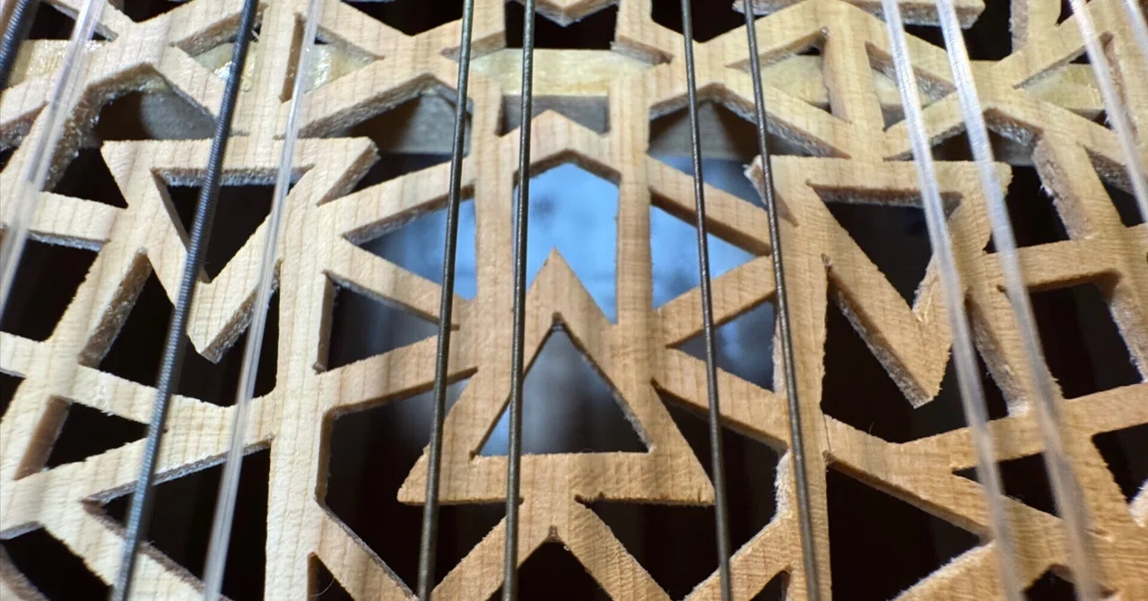 Light and Shadow of the Aria Lute｜まんぼう