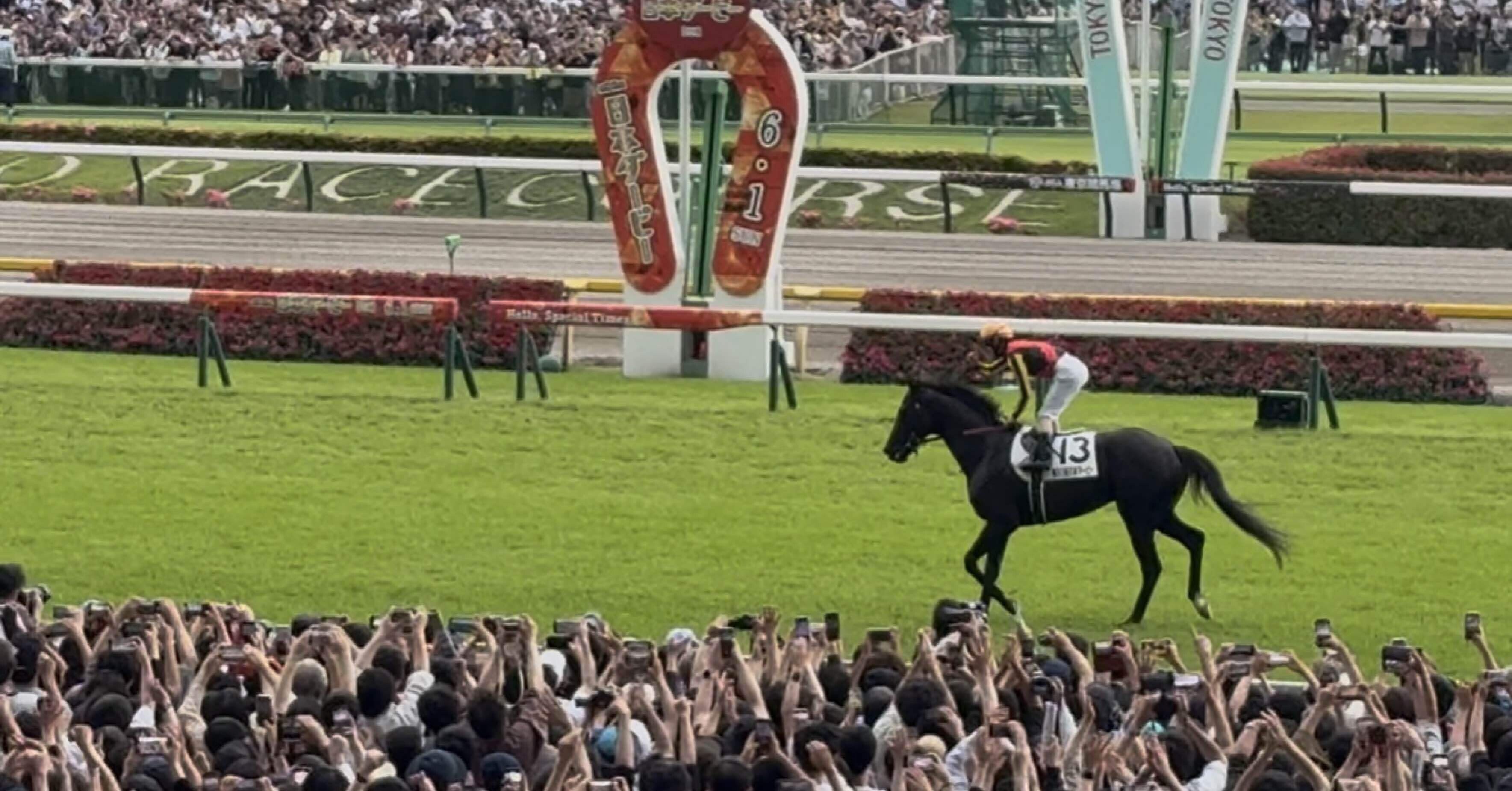 観戦料1万円と考えれば、大満足の日本ダービーでした。｜稲庭うどん