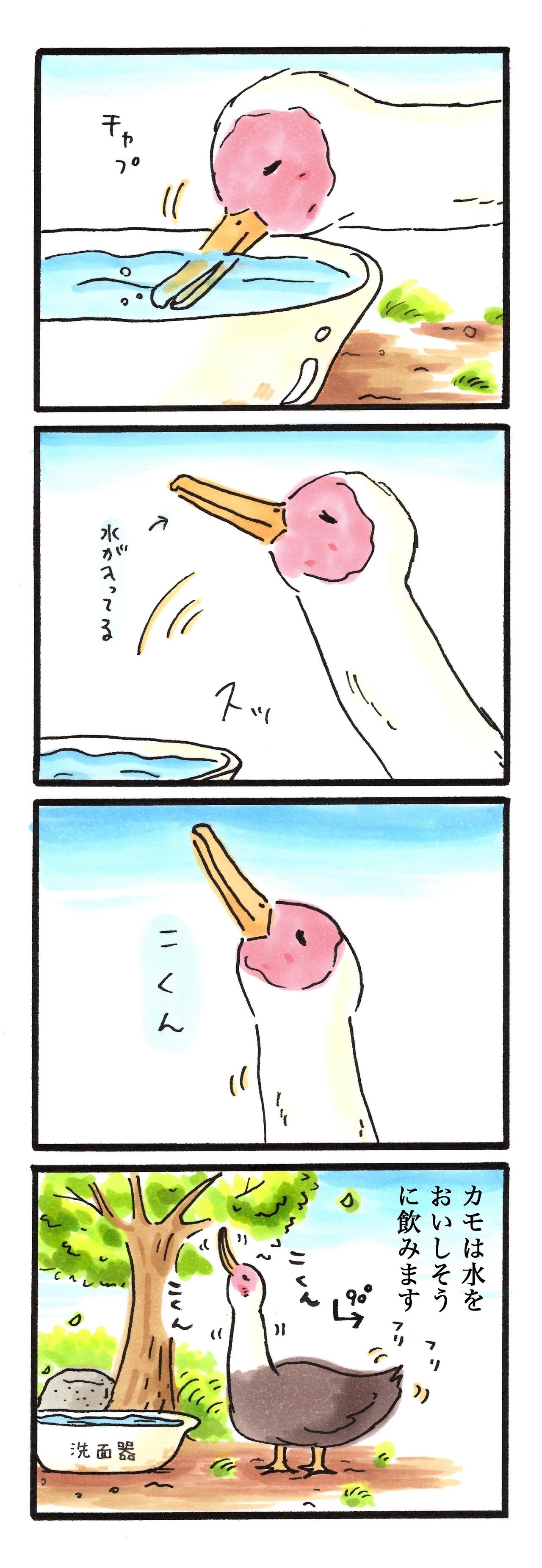 水飲む