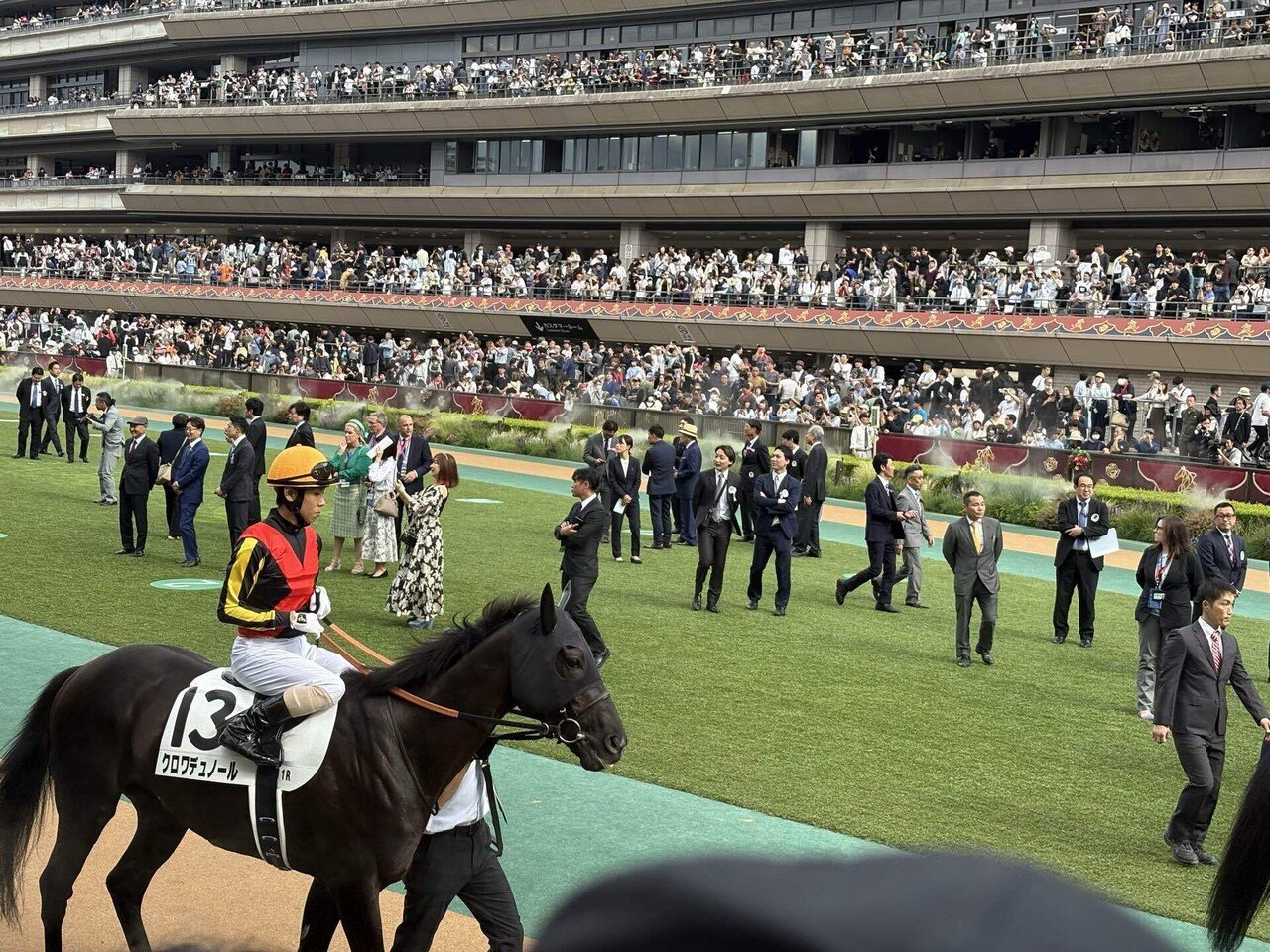 観戦料1万円と考えれば、大満足の日本ダービーでした。｜稲庭うどん