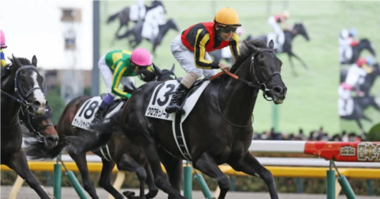ホースレーシング　クロワデュノール　日本ダービー2025年　北村友一 50枚限定 ジョッキーカメラ】クロワデュノール騎乗の北村友一騎手ジョッキー