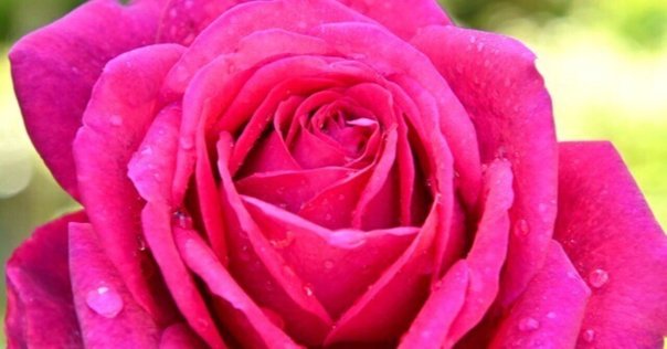 世に万葉の花が咲くなり〜アルバムタイトルの由来｜YU-SUKE O-SHITA
