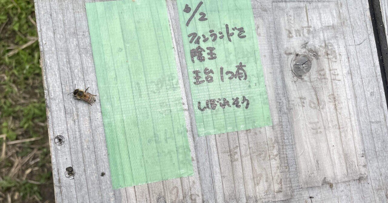 rectangle_large_type_2_d3273e5