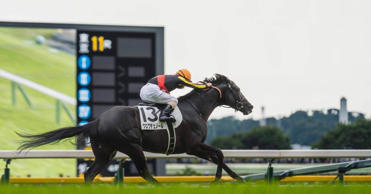 競馬ファン　必見 競馬ファンとして一度は見てみたかったもの｜Daigo