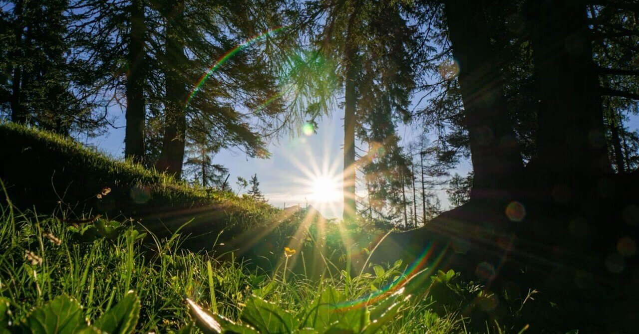 【帯付き】アーユルヴェーダ 健康で幸福に生きる為の日常と季節の過ごし方 帯付き】アーユルヴェーダ 健康で幸福に生きる為の日常と季節の