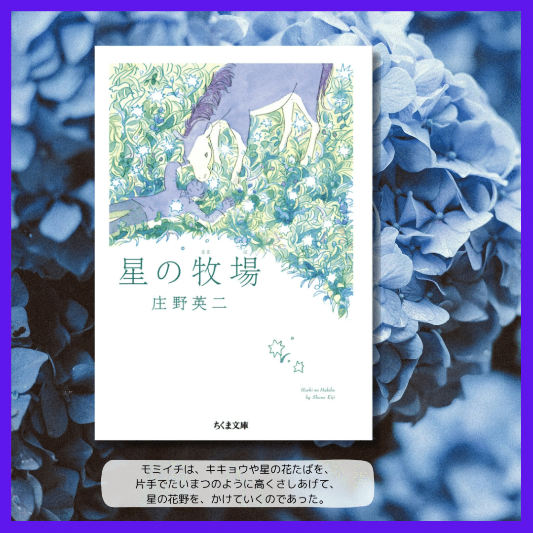 昭59[南十字星は見ていた]翔鶴軍医官日記 渡辺直寛著 398P