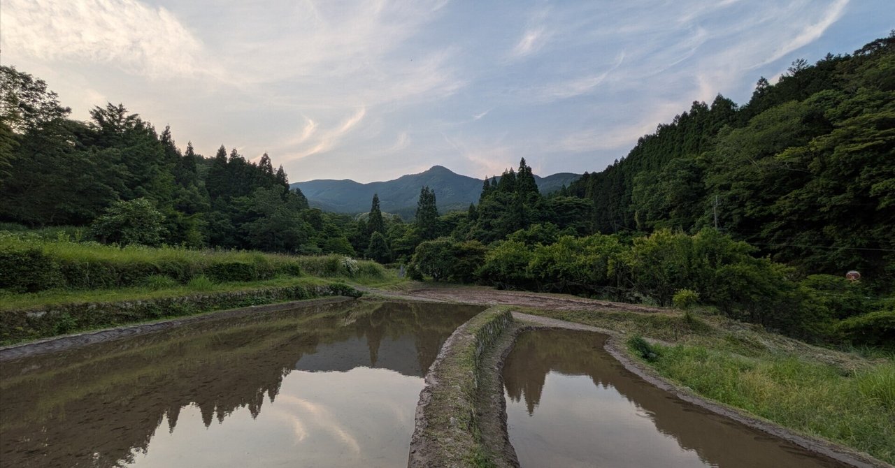 畦塗りを終えてウクレレ平魚泳
