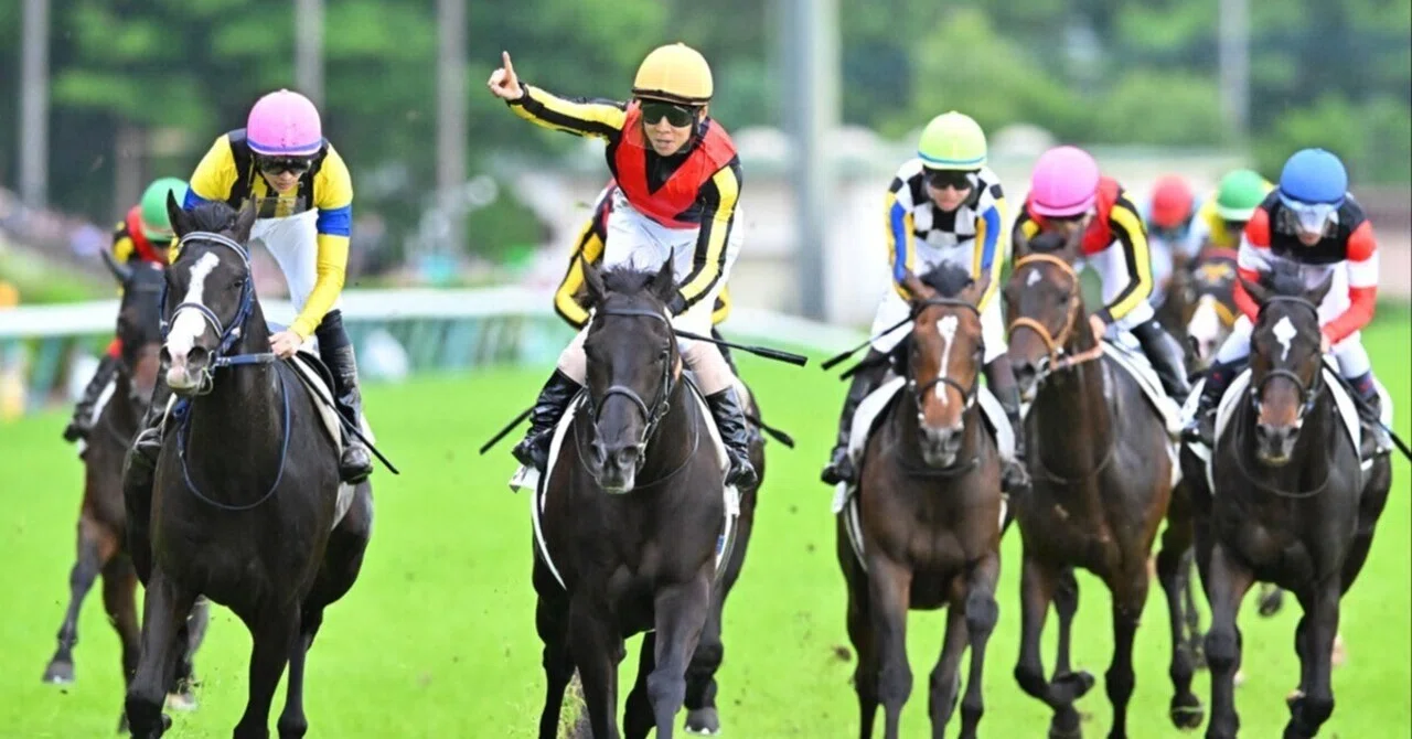 日本ダービー 2025 回顧】人馬の絆が咲かせた夢の続き。クロワデュ