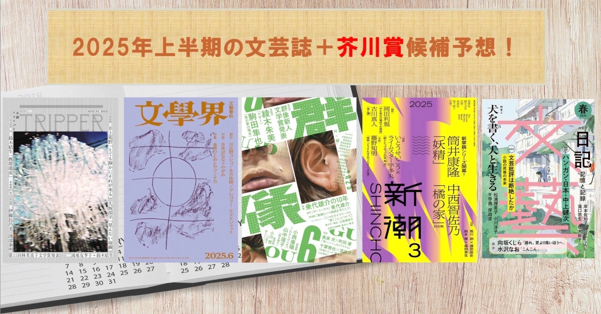 2025年上半期の文芸誌を振り返る！＋第173回芥川賞の候補作予想