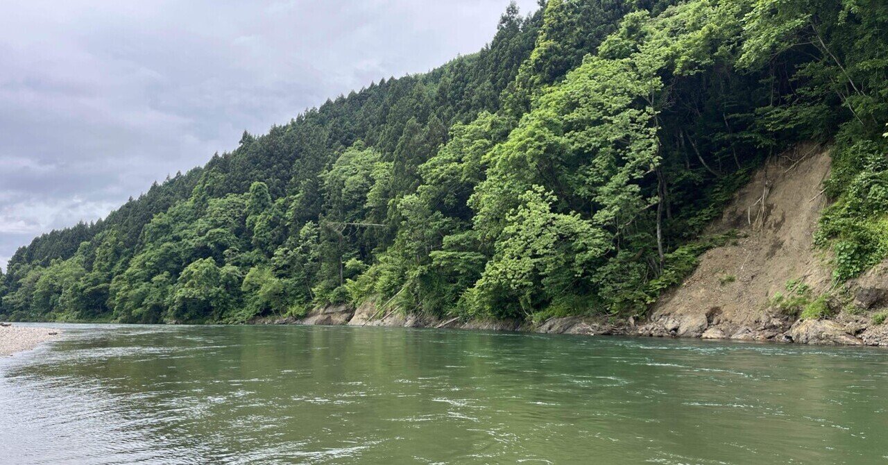 2025年新潟サクラマス釣り11日目【三面川】｜田沢寛