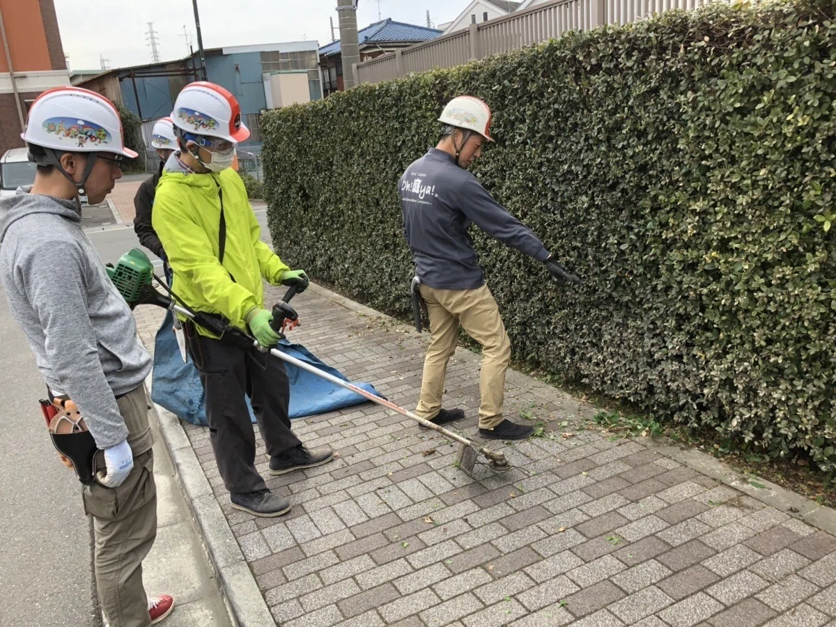 画像7