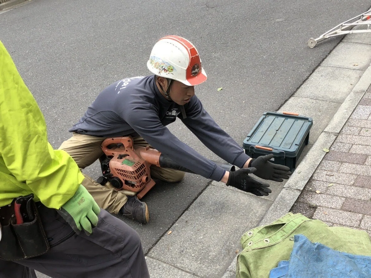 画像8