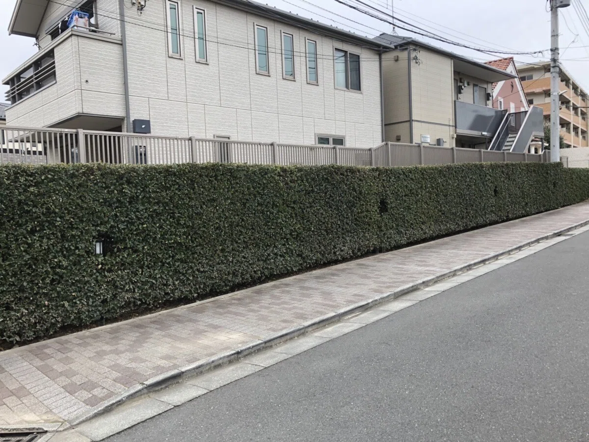 画像11