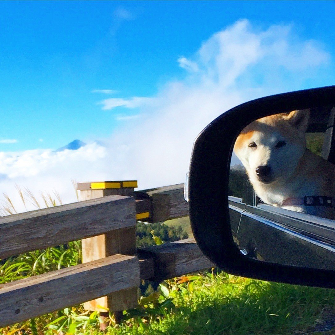 犬と長野と青い空を旅する くみ 子育ての旅から自分探しの旅へ Note 犬と長野と青い空を旅する くみ 子育ての旅から自分探しの旅へ Note
