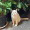 もこりんちょ
