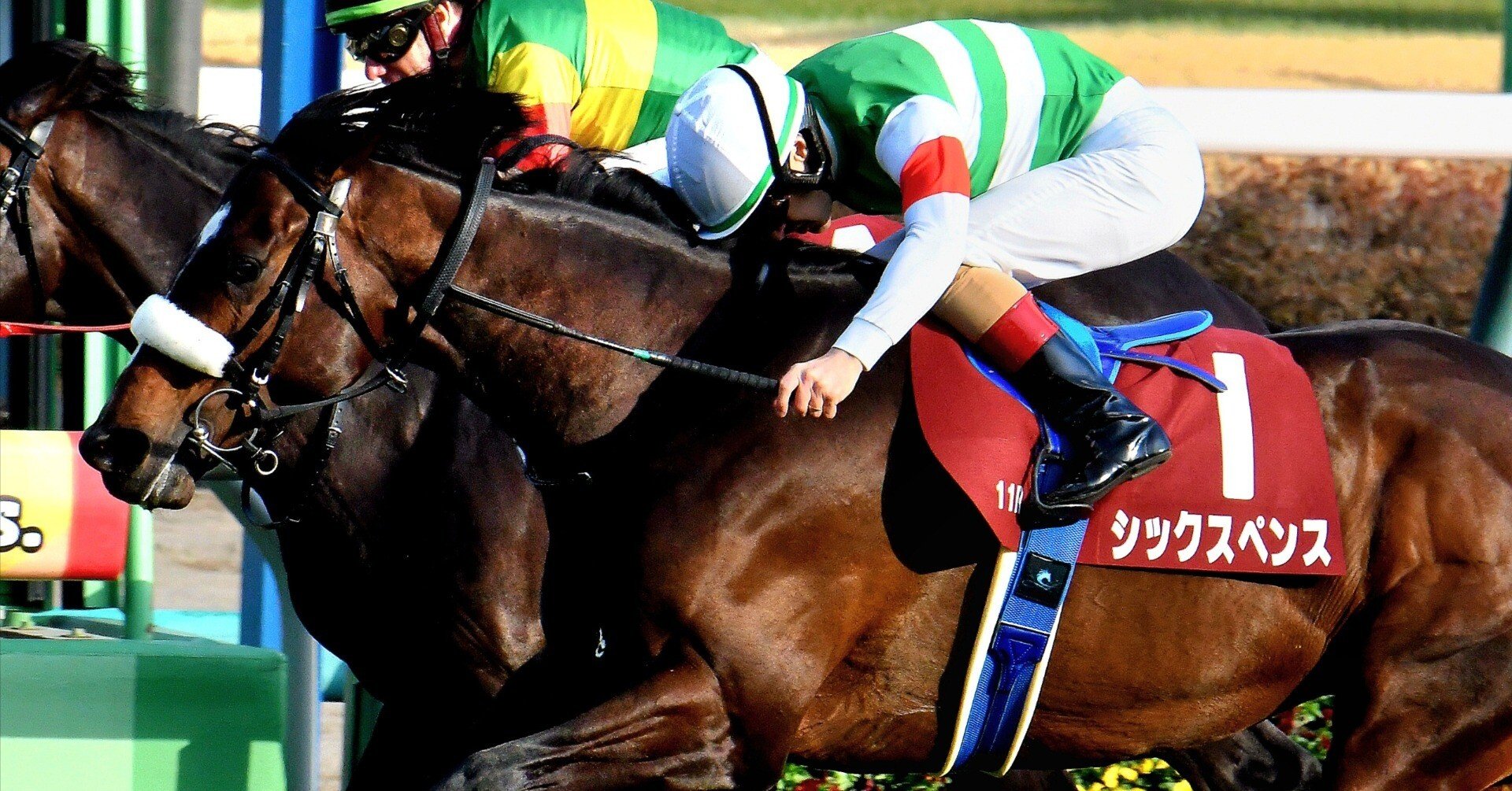 【期限切れ単勝馬券】　第53回　安田記念　アグネスデジタル　ウマ娘 maxresdefault.jpg