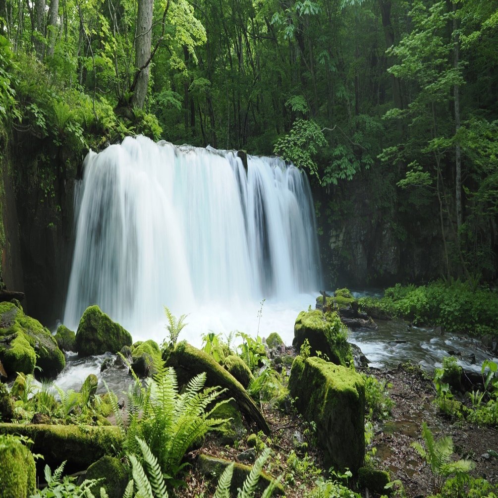 奥入瀬渓流散策 オススメコース 【滝めぐりコース】｜奥入瀬日和@星野