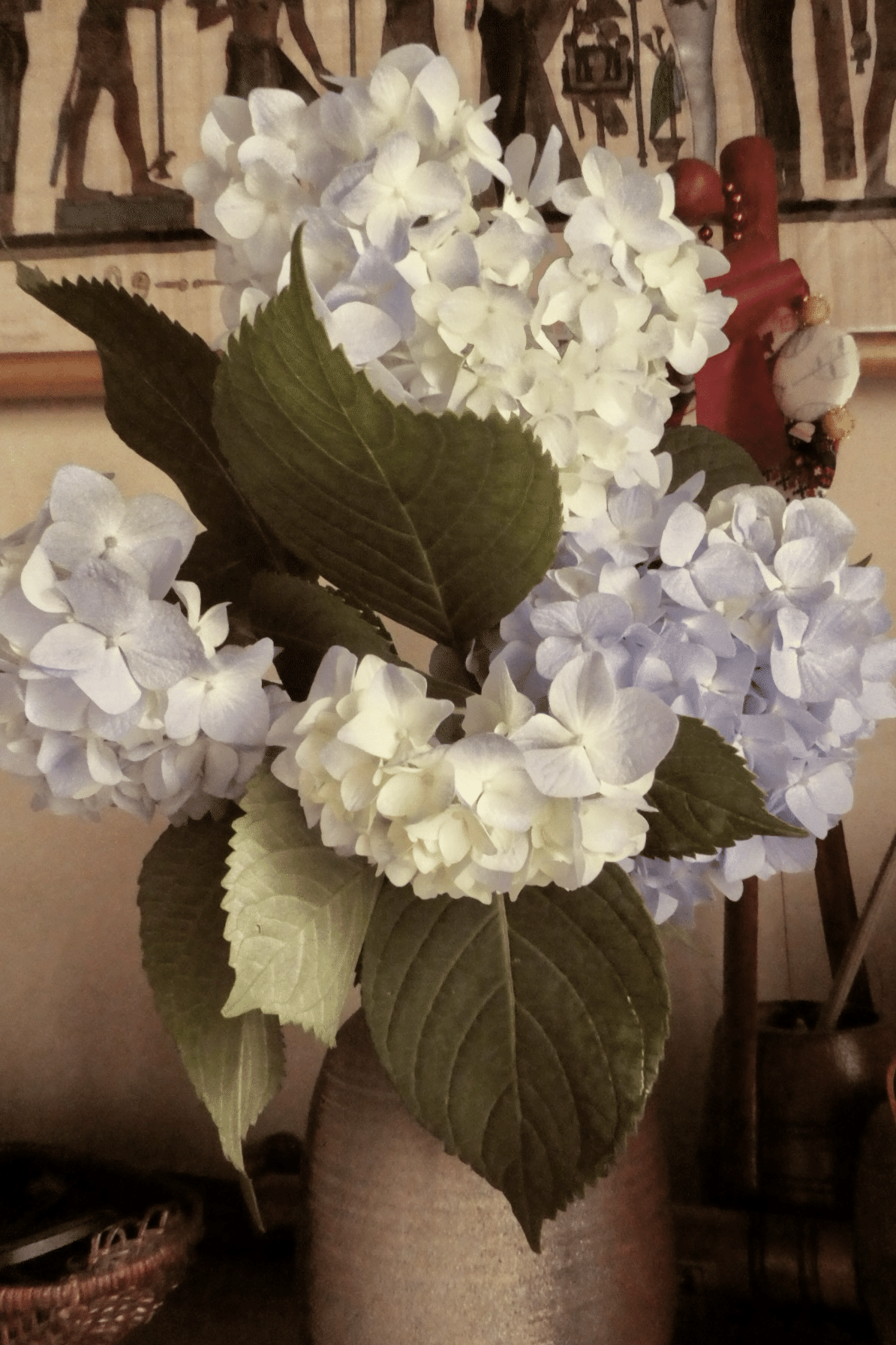 OldDaysも良いじゃない〜Panasonic LUMIX TZ90で遊ぶ｜SuzukenSambar