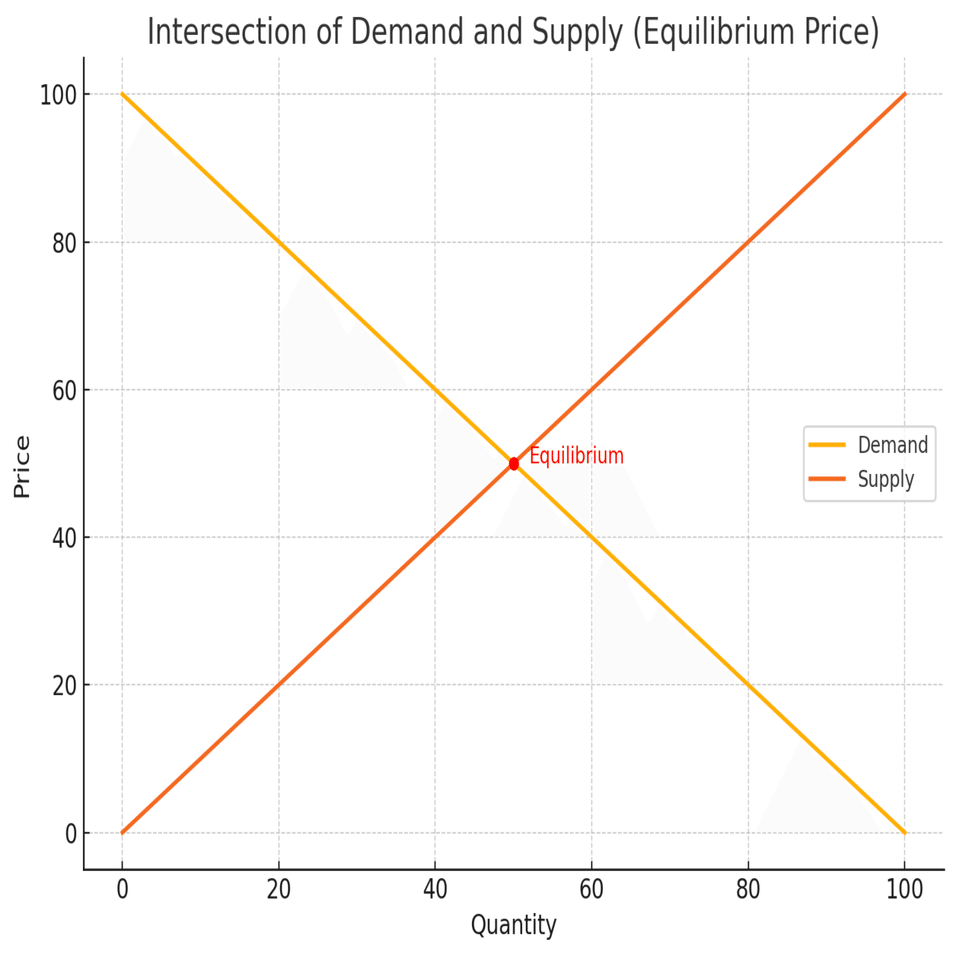 その値段、誰が決めた？市場の“声”に耳をすませて｜Takusan｜全国通訳案内士
