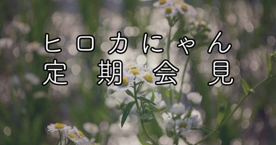 今後について 公式 ヒロカにゃん総合 Note